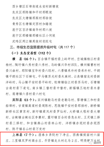 南宁上林网站建设_制度建设