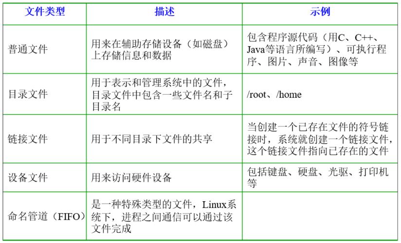 常见的五种文件类型有哪些