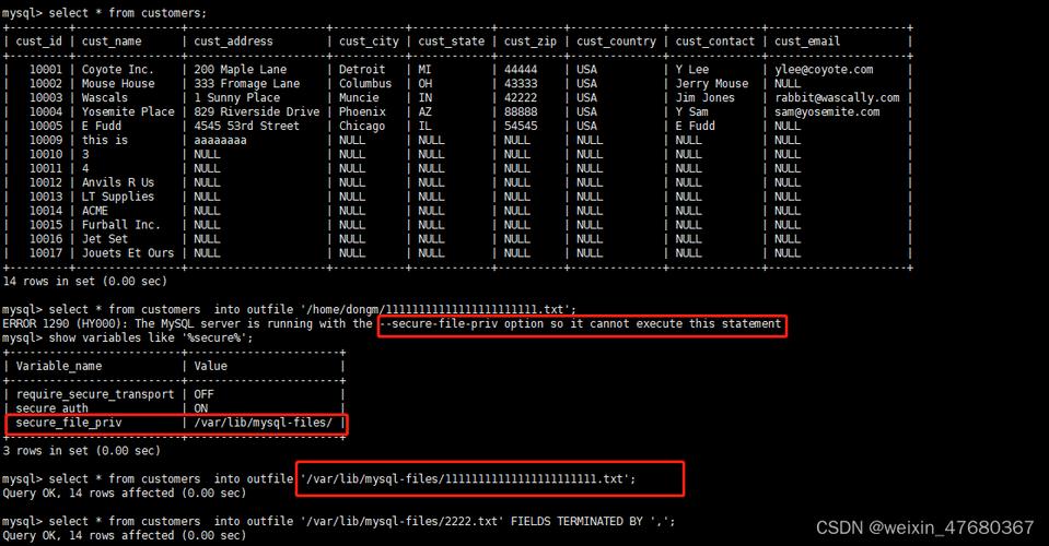 mysql数据库导出dat文件_文件导出