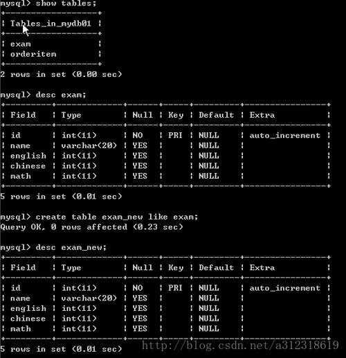 mysql复制命令数据库表_复制数据库