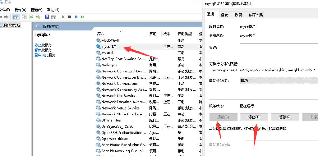 mysql设置中文_中文支持问题