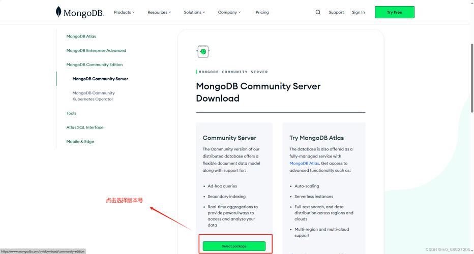 mongodb工具_MongoDB安装