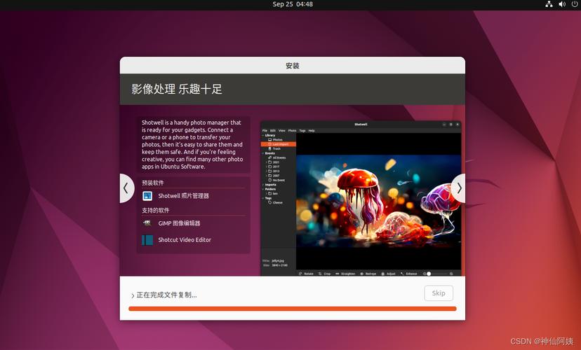 ubuntu服务器开发需要安装什么软件