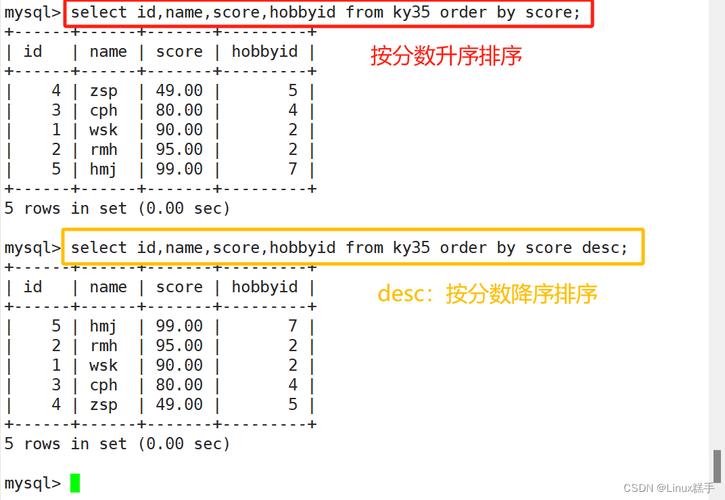 mysql新建数据库 排序规则_排序规则