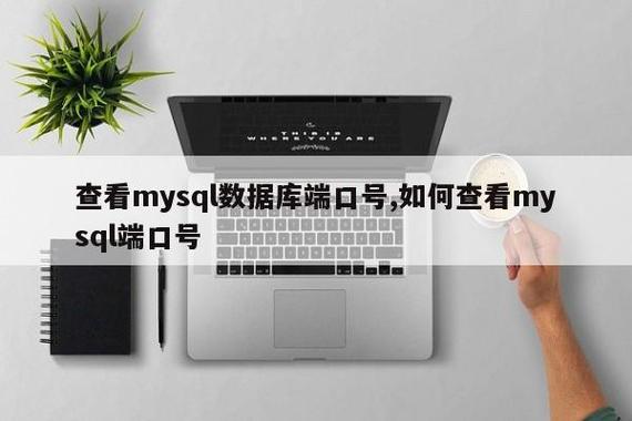 mysql查看数据库连接地址_查看RocketMQ消费者连接地址