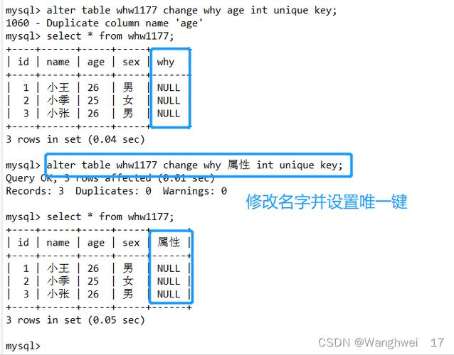 mysql在数据库查询表命令_查询命令