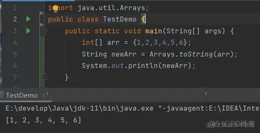 定义java数组长度 _数组