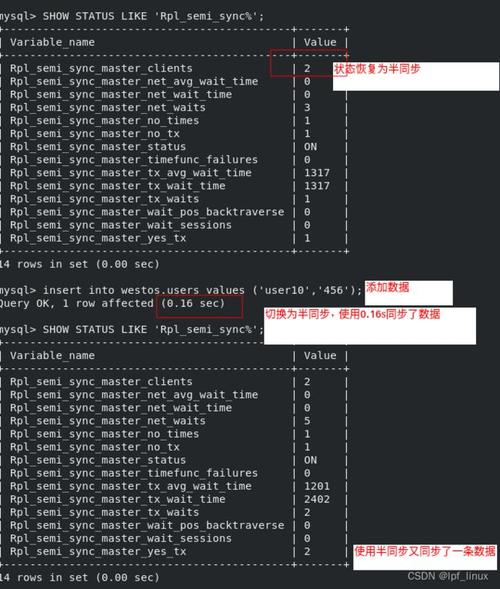 mysql数据库rp集群_查询是否是 RP 型号