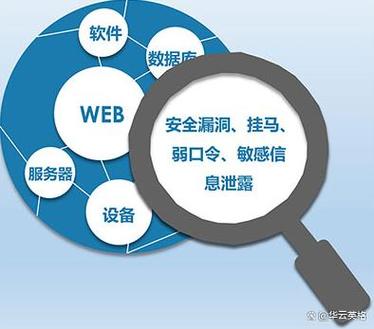 专业漏洞扫描：网络安全的核心技术和应用(专业漏洞扫描)