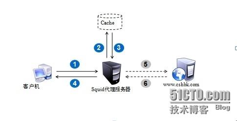 代理服务器web_创建代理服务器