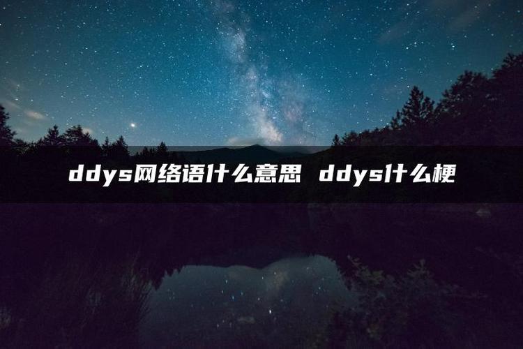 抖音上面ddys什么意思