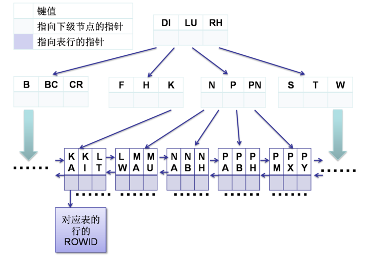 位图索引