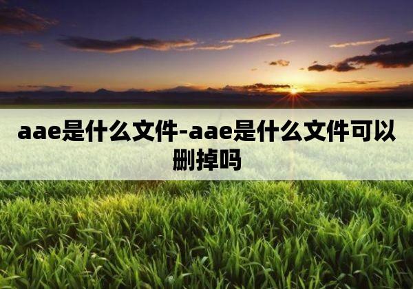 aae是什么文件