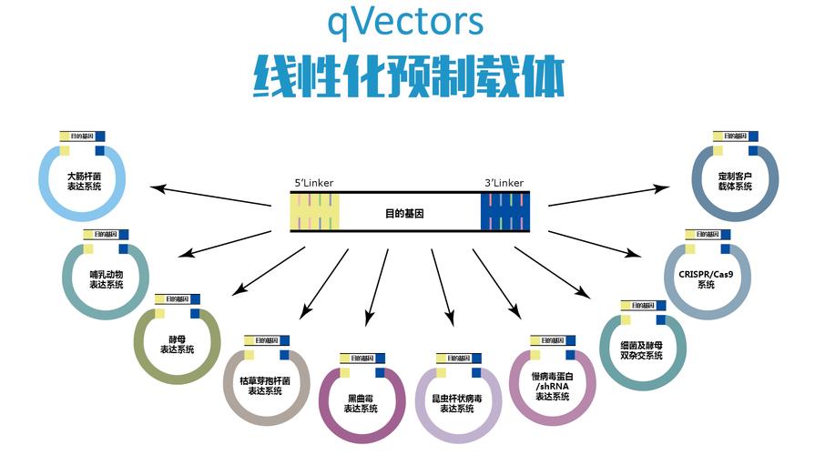 qvector