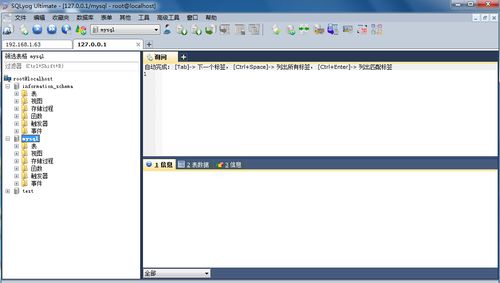 sql综合利用工具有哪些