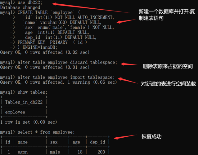 mysql怎么用语句建数据库_查看建表语句