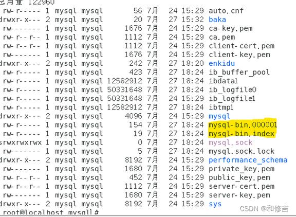 mysql备份数据库表_数据库备份