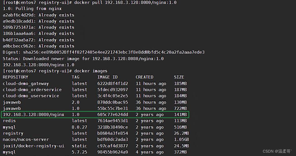 docker搭建私有镜像仓库_如何搭建Docker环境？