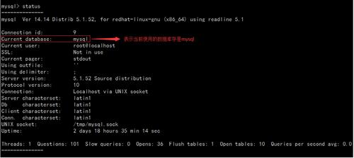 mysql 查看当前数据库无反应_查看当前告警