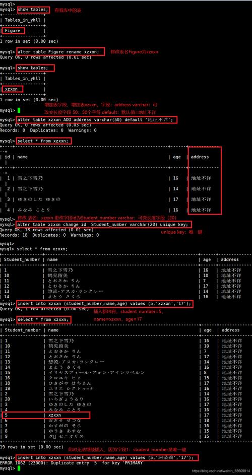 mysql看数据库变更记录结构_变更记录