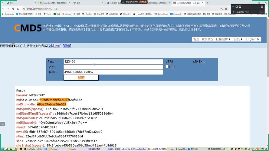 MD5加密_使用函数进行加密