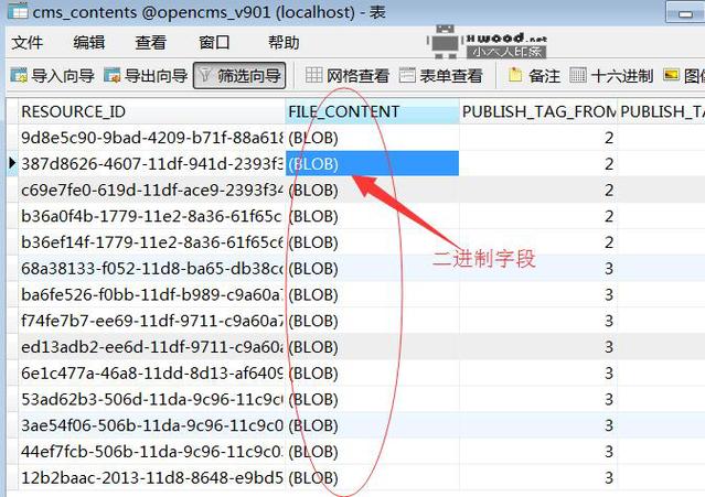 mysql数据库字段显示blob_微软云Blob