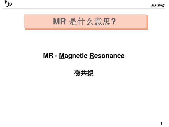 mr的意思通信领域_领域