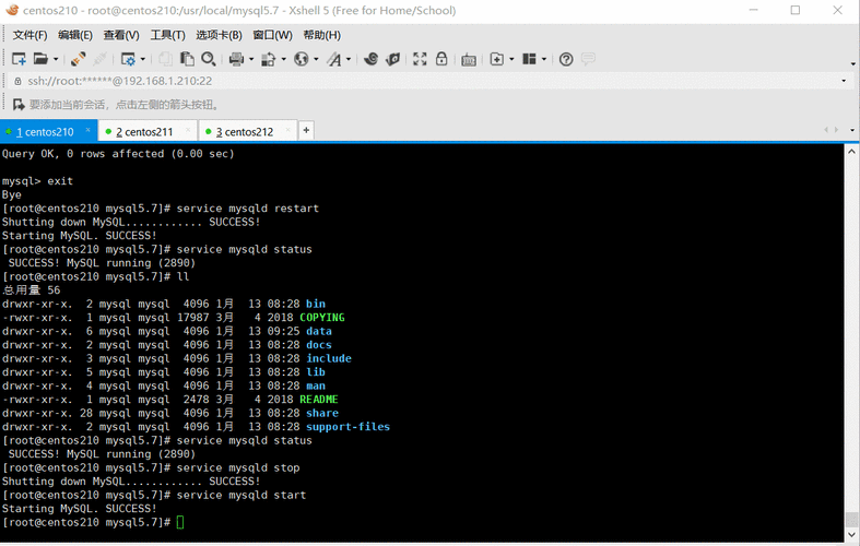 mysql 动态加载数据库_使能动态加载命令