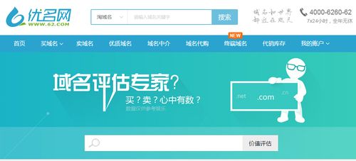 那个网站域名估价好_域名网站检测