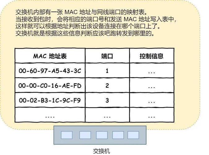 服务器8c段是什么意思