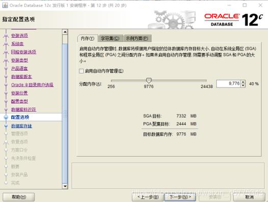 服务器装了oracle那客户端装什么