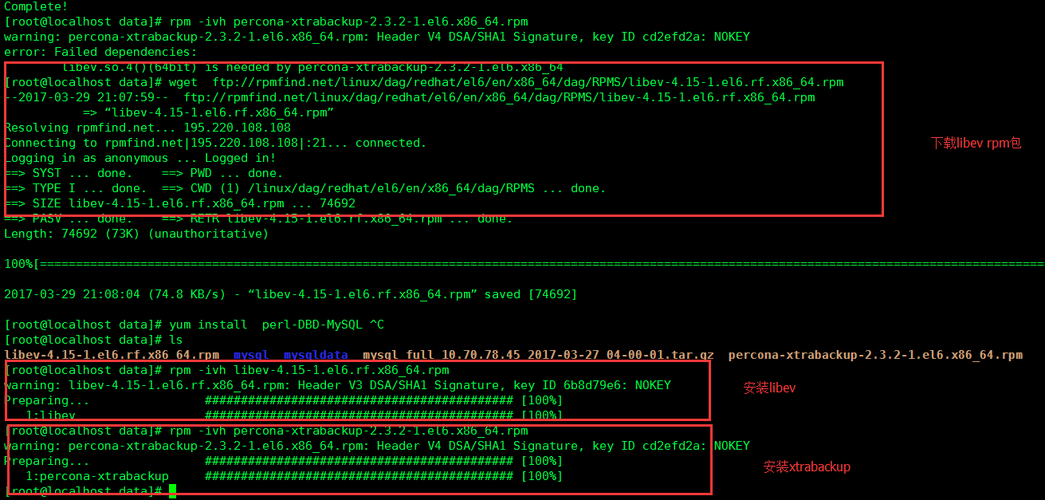 mysql 恢复数据库_恢复到自建MySQL数据库