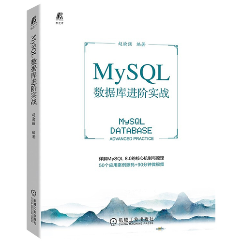 mysql项目实战_进阶实战