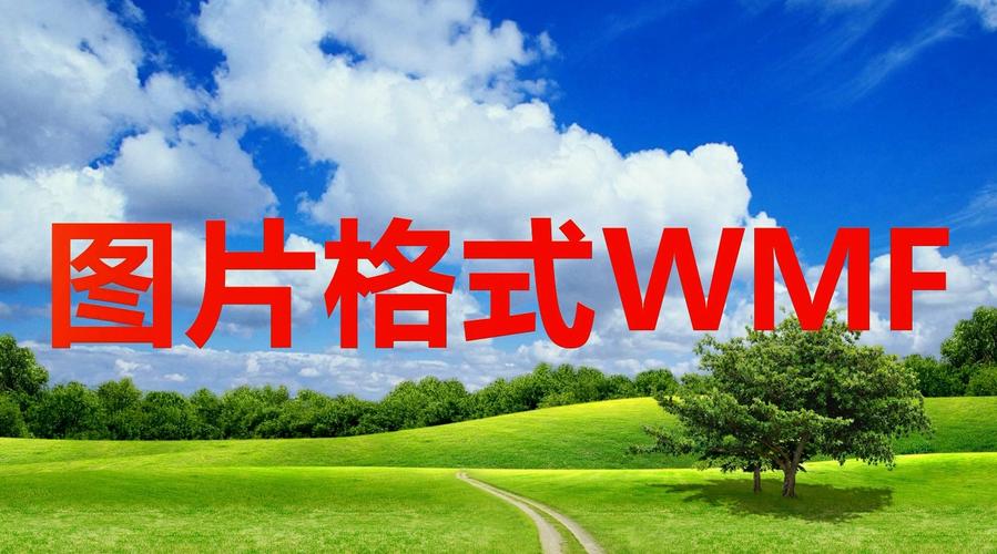 WMF格式