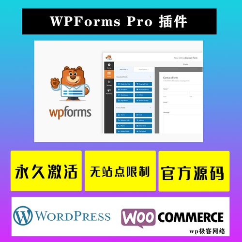 如何使用WordPress插件实现自定义表单功能