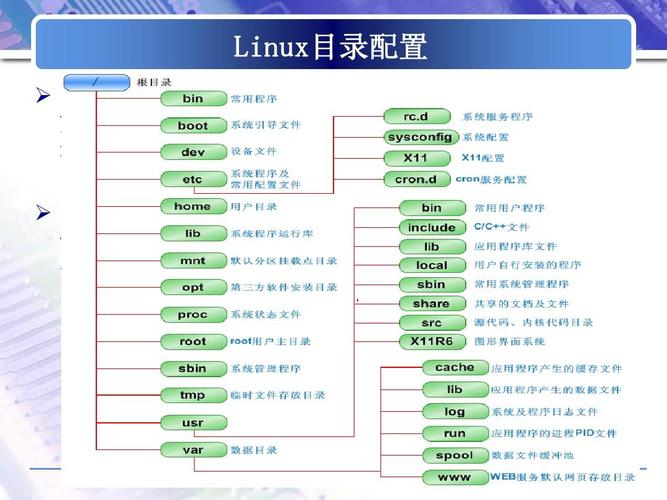 linux中pwd命令使用详解