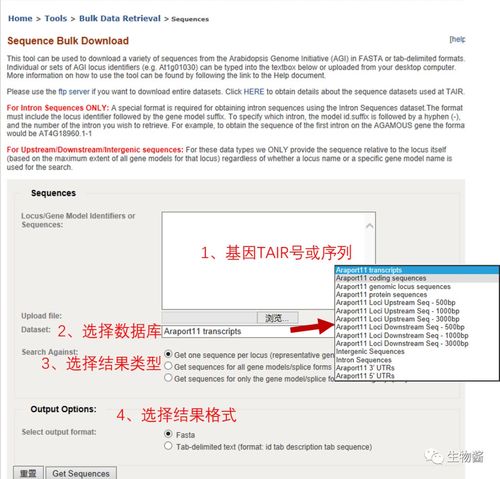 拟南芥数据库使用 _数据库使用