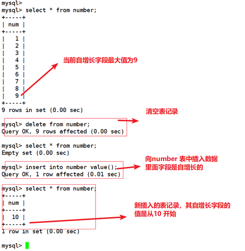 mysql 基本操作_基本操作