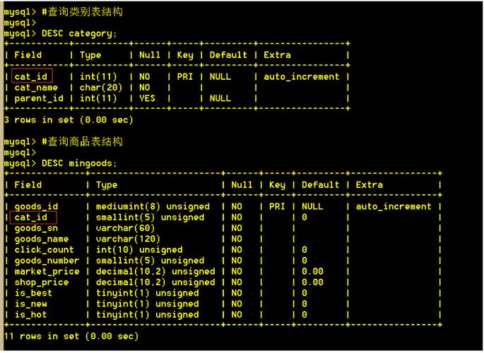 mysql查询连接数_实例连接数查询