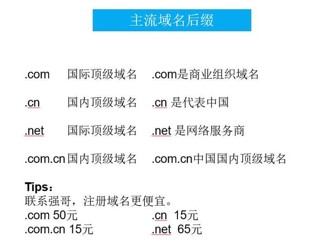 域名知识国内有哪些域名商