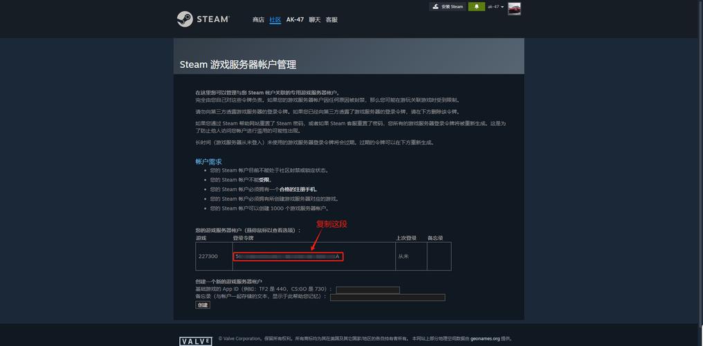 steam独立游戏联机是用的什么服务器吗