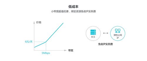 弹性公网IP节约公网成本_节约公网成本