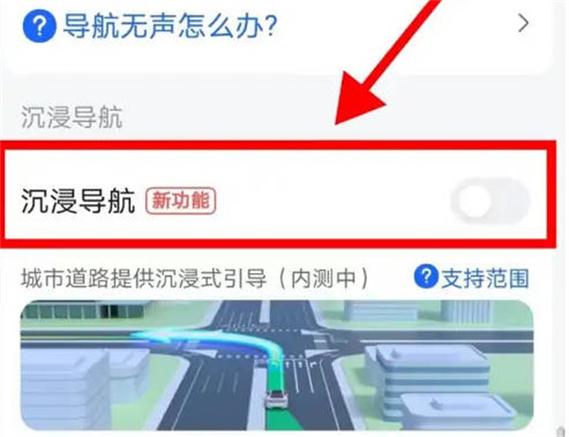 高德地图怎么开启沉浸导航?高德地图开启沉浸导航的方法