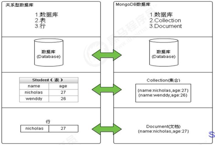 mongo 展示数据库_场景展示