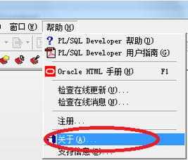 plsql注册码怎么填