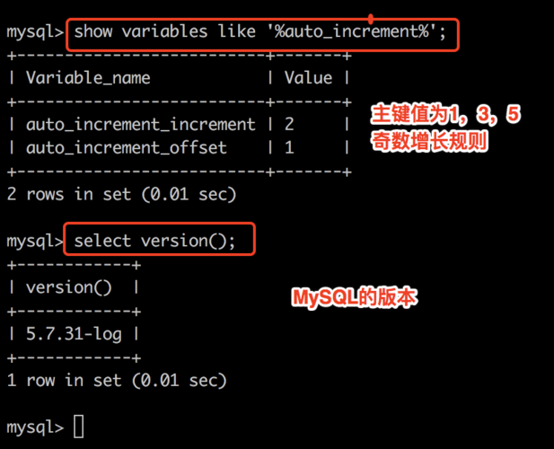 mysql自增长主键_DDL