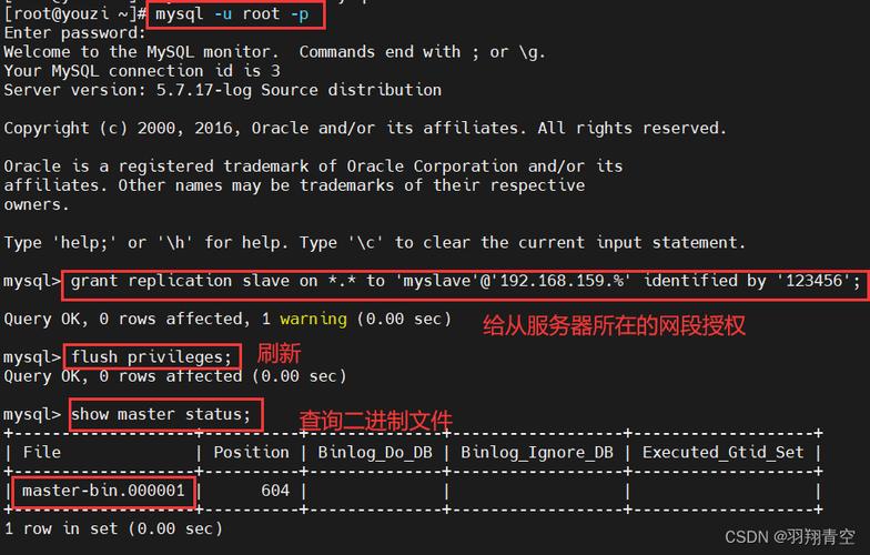 mysql从服务器配置_MySQL配置