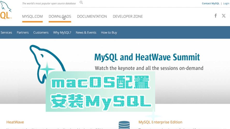 mysql mac 服务器配置_Mac