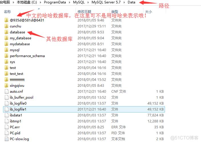 mysql数据库大文本_文本