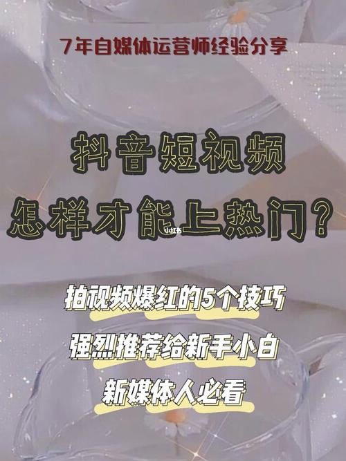 为何易试网成为新手搭建Drupal网站的首选平台？